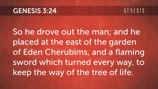Cherubims, and a flaming sword
